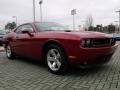 2009 Challenger SE #7