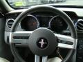 2009 Mustang V6 Convertible #15