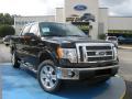 2010 F150 XLT SuperCrew 4x4 #1
