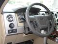2010 F150 Lariat SuperCrew 4x4 #4