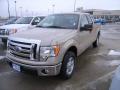 2010 F150 XLT SuperCab #6 2010 F150 XLT SuperCab #6