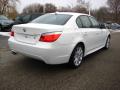 2010 5 Series 528i xDrive Sedan #5 2010 5 Series 528i xDrive Sedan #5