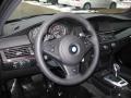 2010 5 Series 535i Sedan #10