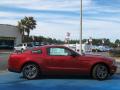 2010 Mustang V6 Premium Coupe #2