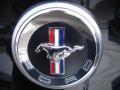 2010 Mustang V6 Premium Coupe #23