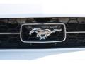 2007 Mustang V6 Deluxe Coupe #18