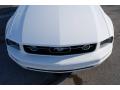 2007 Mustang V6 Deluxe Coupe #20