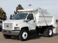 2006 C Series Kodiak C7500 Regular Cab Dump Truck #3