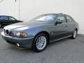 2002 5 Series 530i Sedan #8