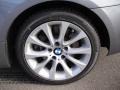 2009 3 Series 335xi Coupe #7