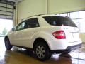 2007 ML 350 4Matic #8
