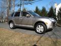 2006 Cayenne S #9