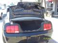 2005 Mustang GT Premium Coupe #3