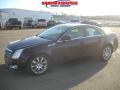 2009 CTS 4 AWD Sedan #18