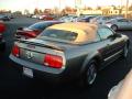2005 Mustang V6 Premium Convertible #4