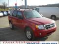 2010 Escape XLT V6 4WD #4 2010 Escape XLT V6 4WD #4