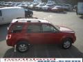 2010 Escape XLT V6 4WD #5 2010 Escape XLT V6 4WD #5