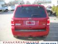 2010 Escape XLT V6 4WD #13 2010 Escape XLT V6 4WD #13