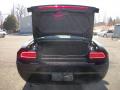 2010 Challenger R/T #13