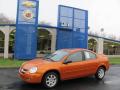 2005 Neon SXT #1