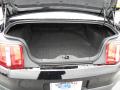 2010 Mustang V6 Coupe #11