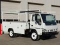 2007 W Series Truck W4500 Commercial Utility Truck #1