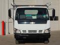 2007 W Series Truck W4500 Commercial Utility Truck #2
