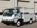 2007 W Series Truck W4500 Commercial Utility Truck #3