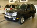 2006 Mountaineer Convenience AWD #2