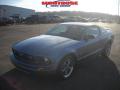2006 Mustang V6 Premium Coupe #18