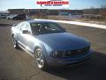 2006 Mustang V6 Premium Coupe #20