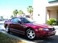 Front 3/4 View of 2004 Ford Mustang V6 Coupe #4 Front 3/4 View of 2004 Ford Mustang V6 Coupe #4