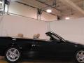 2005 3 Series 330i Convertible #14 2005 3 Series 330i Convertible #14