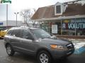 2009 Santa Fe GLS 4WD #1