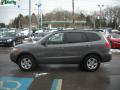 2009 Santa Fe GLS 4WD #6