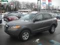 2009 Santa Fe GLS 4WD #14