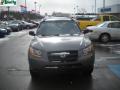 2009 Santa Fe GLS 4WD #15