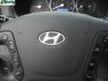2009 Santa Fe GLS 4WD #19
