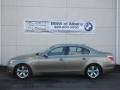 2007 5 Series 530i Sedan #1