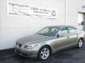 2007 5 Series 530i Sedan #2