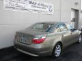 2007 5 Series 530i Sedan #22