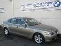 2007 5 Series 530i Sedan #24