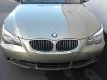 2007 5 Series 530i Sedan #25
