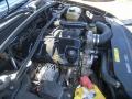 2004 GTO Coupe #20