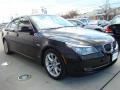 2008 5 Series 550i Sedan #3