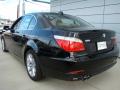 2008 5 Series 550i Sedan #5