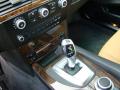 2008 5 Series 550i Sedan #14