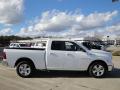 2010 Ram 1500 Big Horn Quad Cab #6