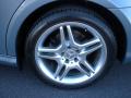 2006 CLS 500 #6 2006 CLS 500 #6