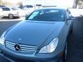 2006 CLS 500 #28 2006 CLS 500 #28